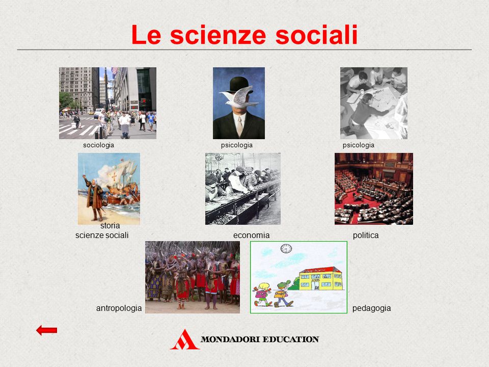 Le scienze sociali pedagogia storia scienze sociali economia politica