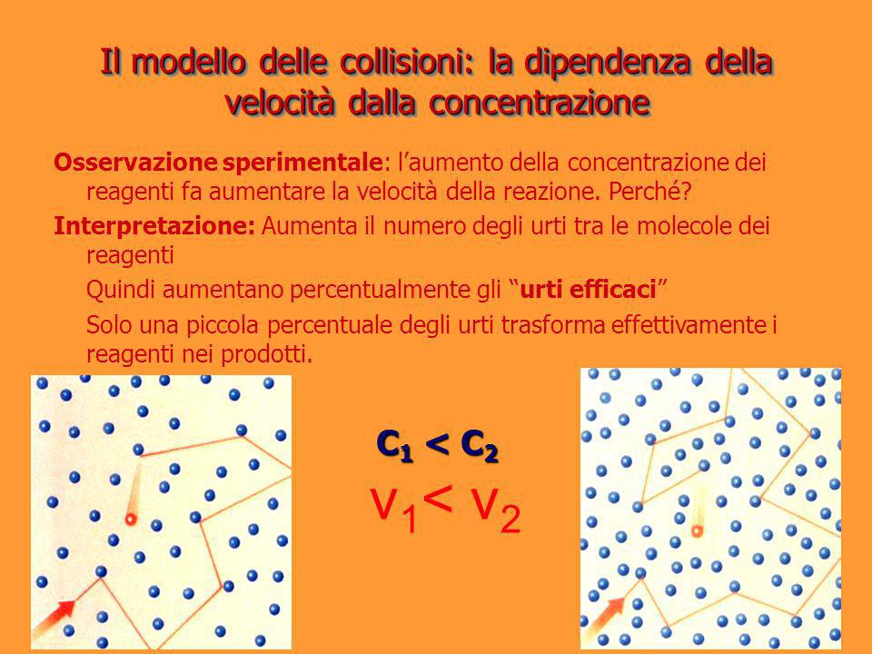 Il modello delle collisioni: la dipendenza della velocità dalla concentrazione