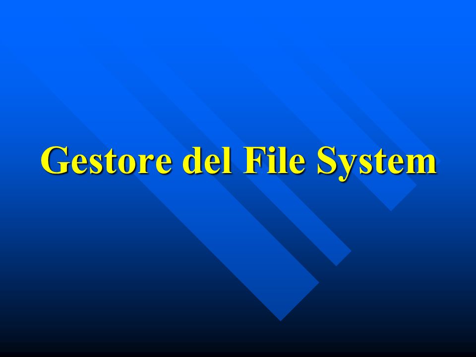 Gestore del File System