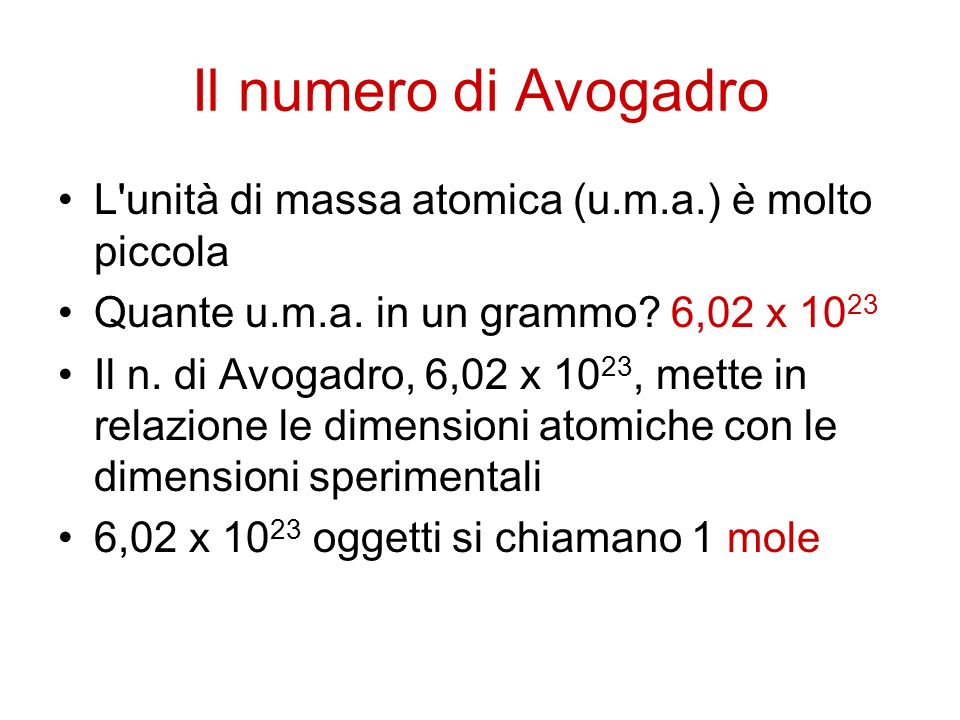 Il numero di Avogadro L unità di massa atomica (u.m.a.) è molto piccola. Quante u.m.a. in un grammo 6,02 x