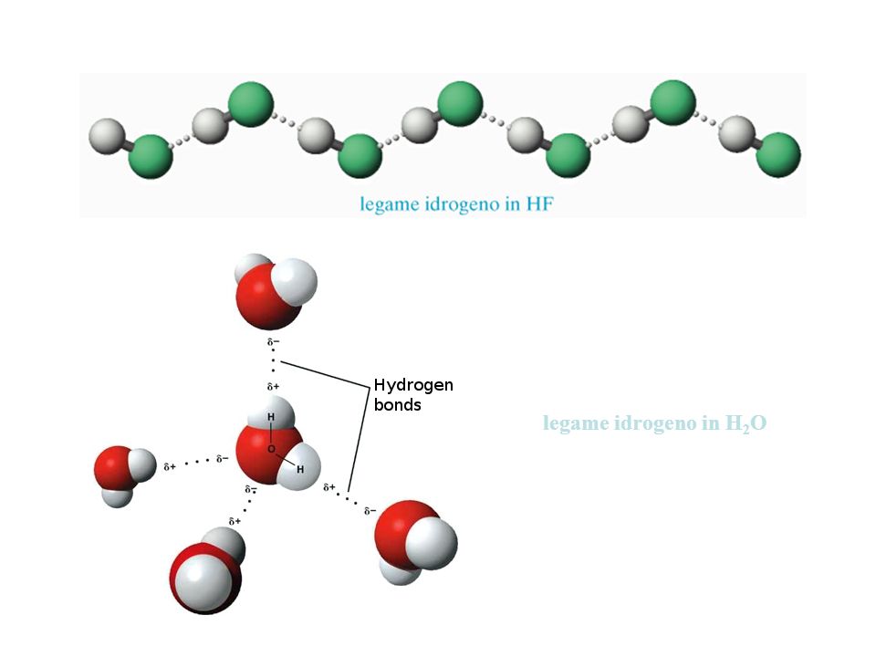 legame idrogeno in H2O