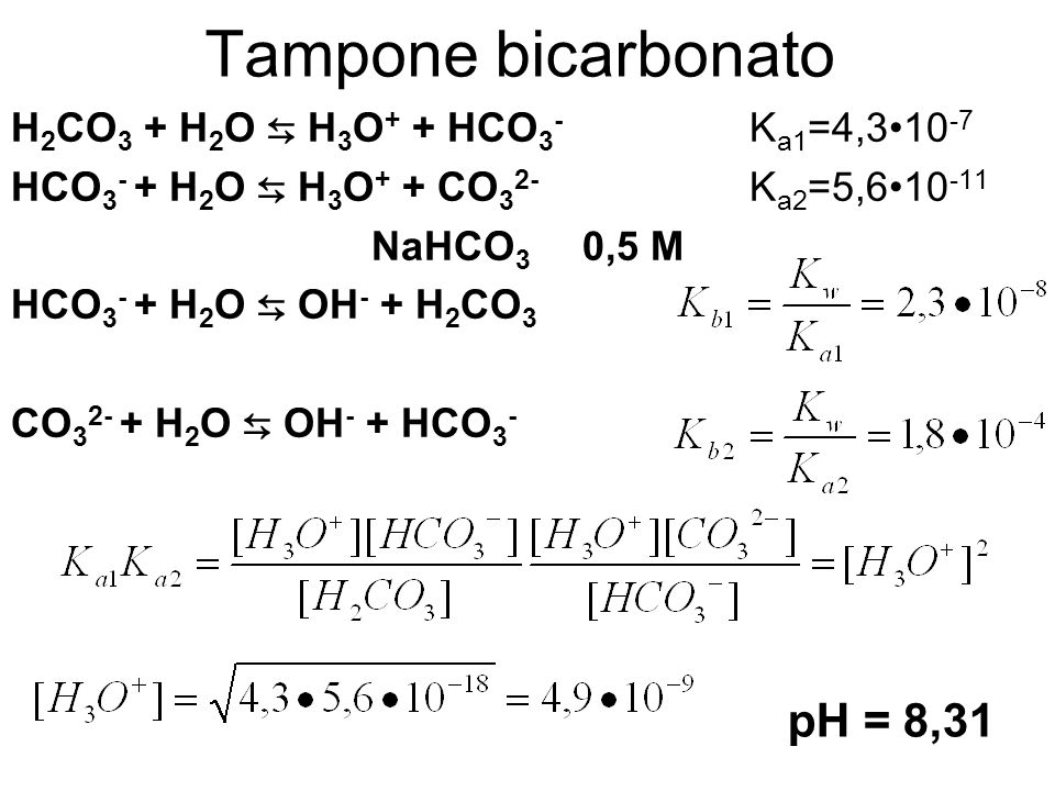 Tampone bicarbonato pH = 8,31 H2CO3 + H2O ⇆ H3O+ + HCO3- Ka1=4,3•10-7