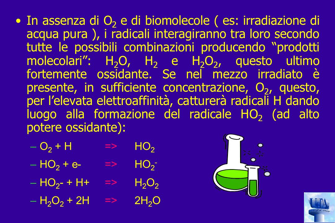 In assenza di O2 e di biomolecole ( es: irradiazione di acqua pura ), i radicali interagiranno tra loro secondo tutte le possibili combinazioni producendo prodotti molecolari : H2O, H2 e H2O2, questo ultimo fortemente ossidante. Se nel mezzo irradiato è presente, in sufficiente concentrazione, O2, questo, per l’elevata elettroaffinità, catturerà radicali H dando luogo alla formazione del radicale HO2 (ad alto potere ossidante):