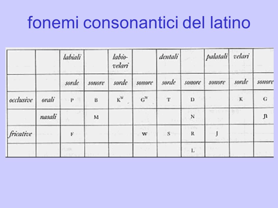 fonemi consonantici del latino