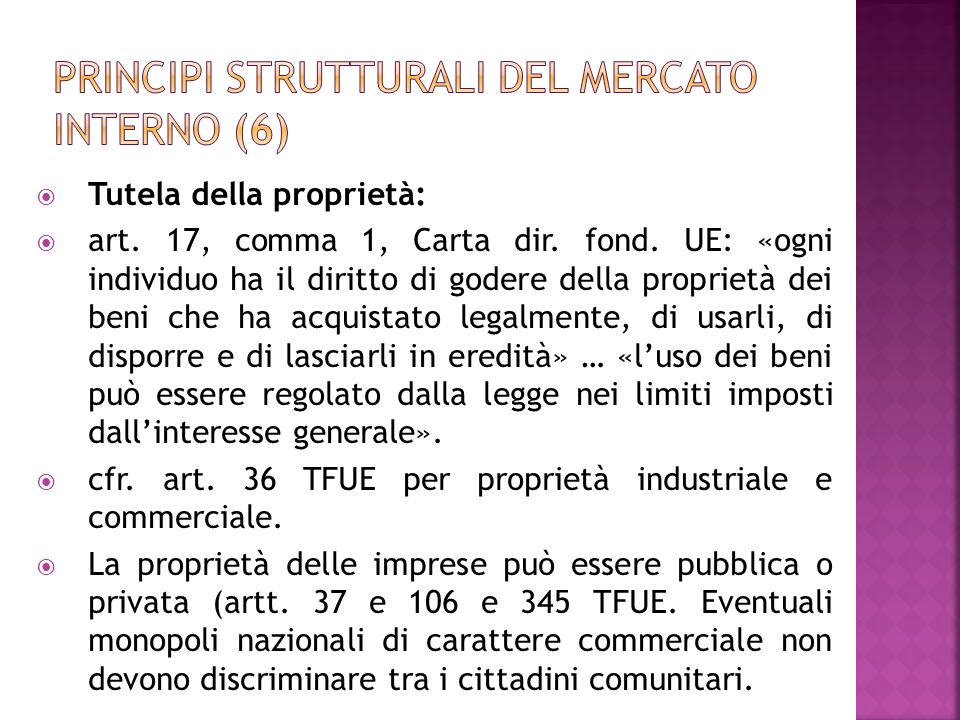 Principi strutturali del mercato interno (6)