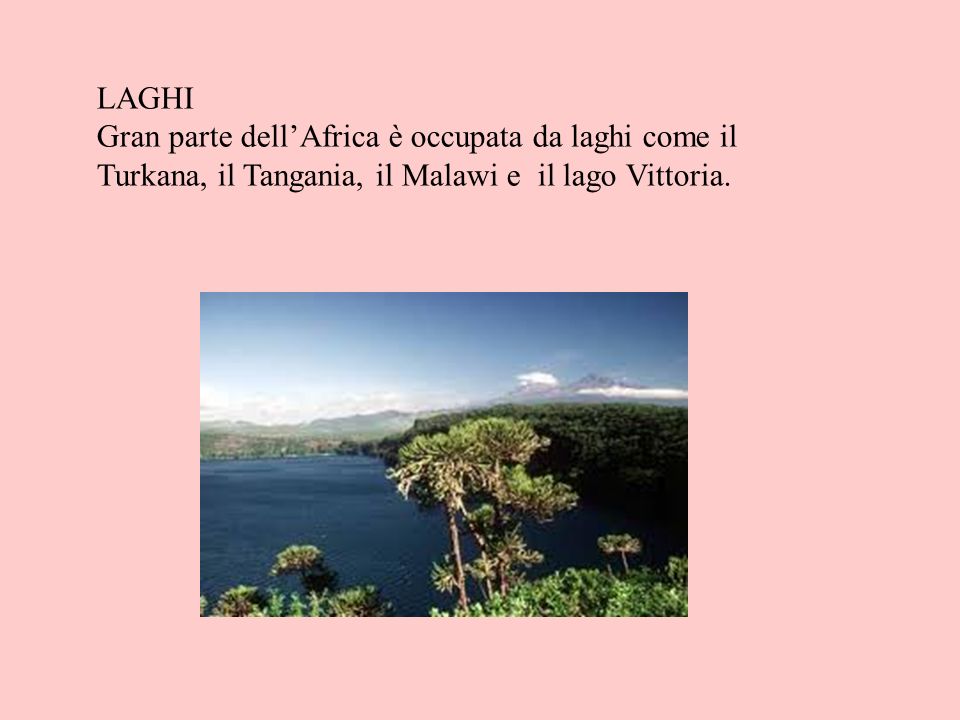 LAGHI Gran parte dell’Africa è occupata da laghi come il Turkana, il Tangania, il Malawi e il lago Vittoria.
