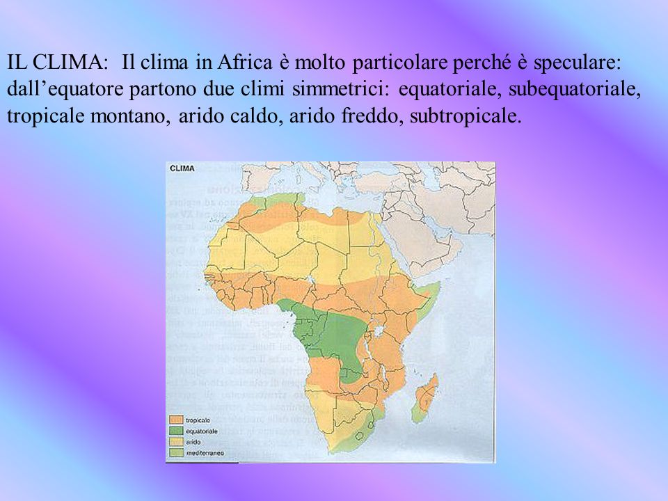 IL CLIMA: Il clima in Africa è molto particolare perché è speculare: dall’equatore partono due climi simmetrici: equatoriale, subequatoriale, tropicale montano, arido caldo, arido freddo, subtropicale.