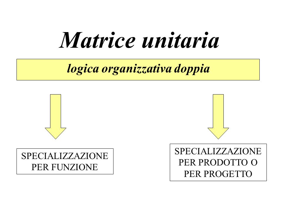 Matrice unitaria logica organizzativa doppia