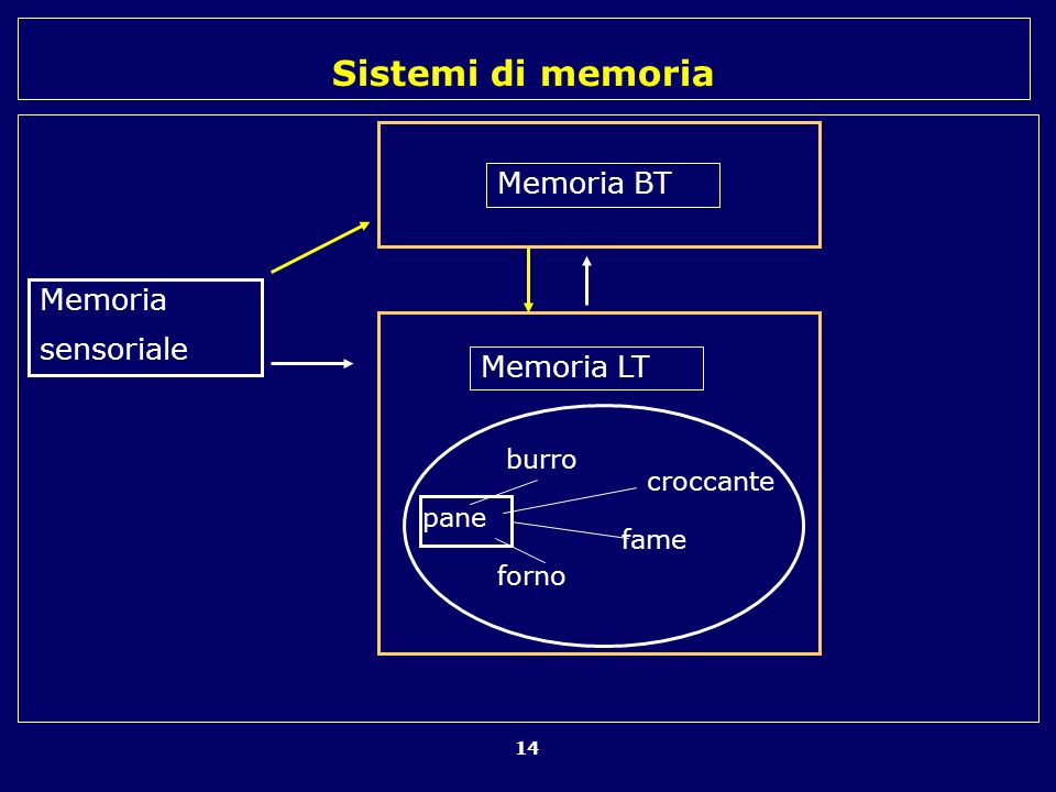 Memoria BT Memoria sensoriale Memoria LT burro croccante pane fame