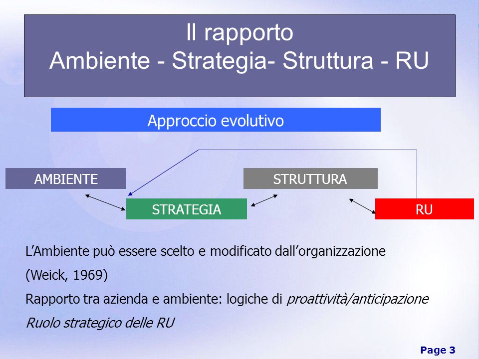 Il rapporto Ambiente - Strategia- Struttura - RU