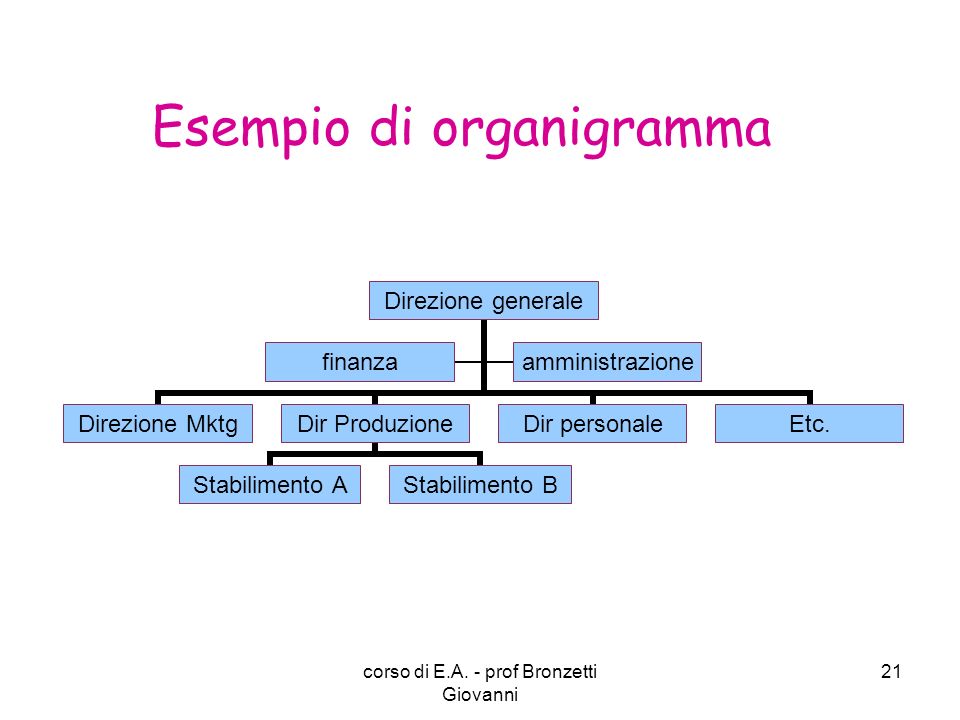 Esempio di organigramma