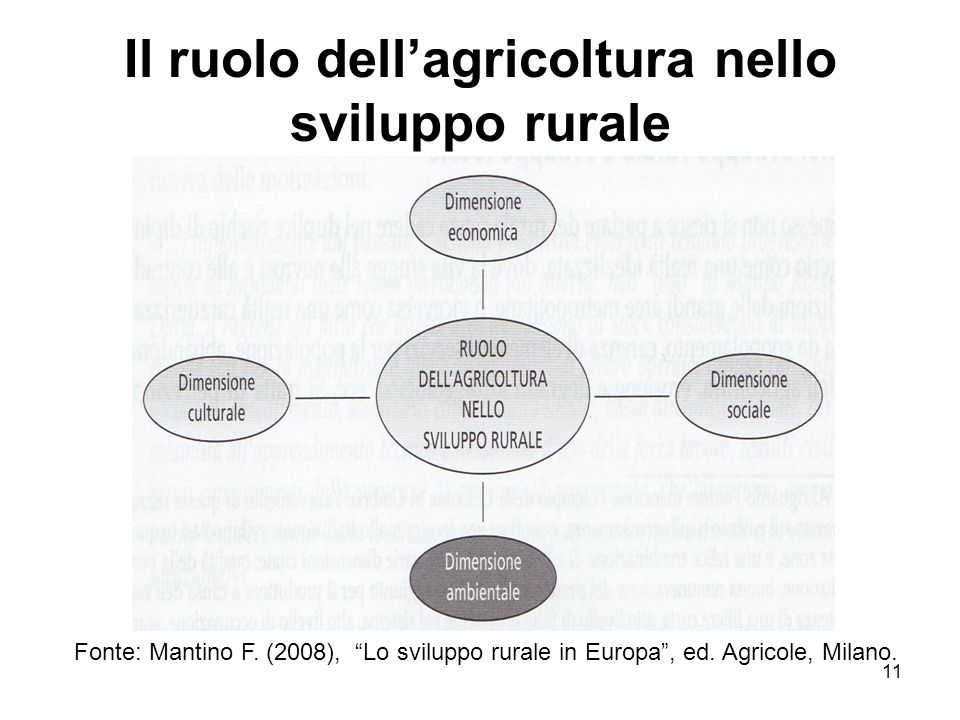 Il ruolo dell’agricoltura nello sviluppo rurale