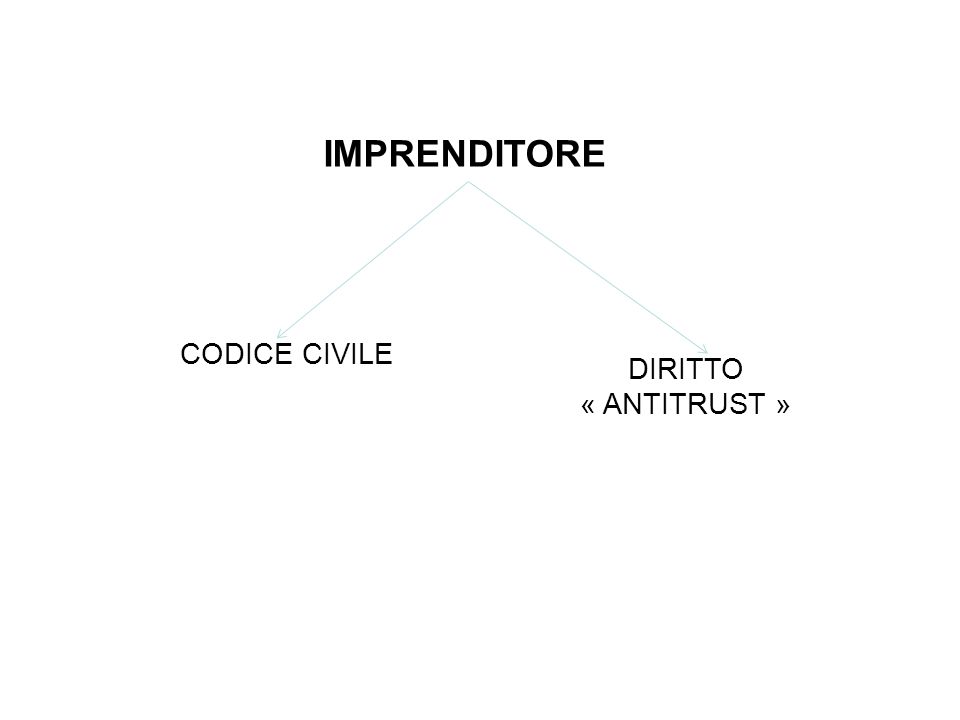 IMPRENDITORE CODICE CIVILE DIRITTO « ANTITRUST »