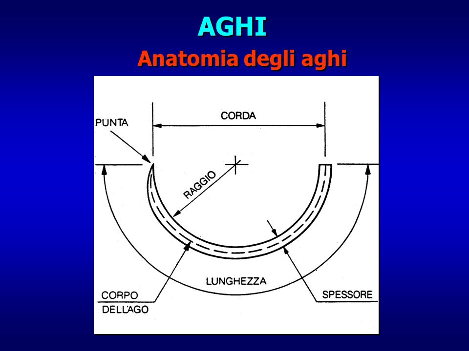 AGHI Anatomia degli aghi