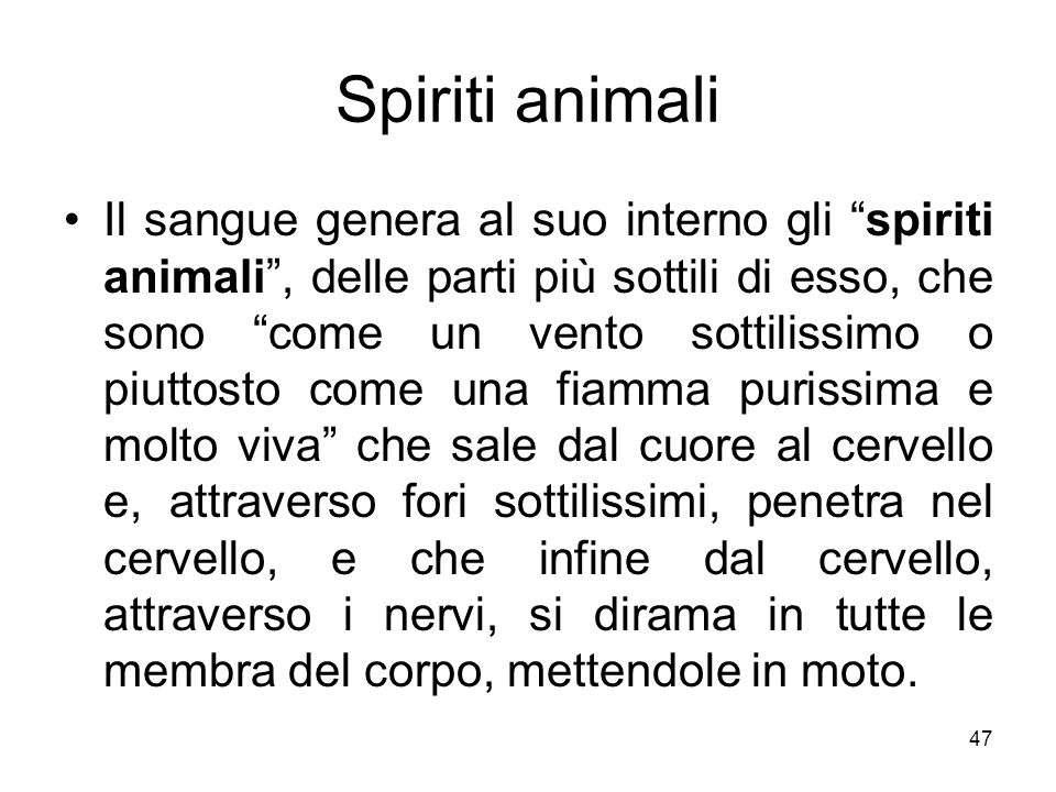 Spiriti animali
