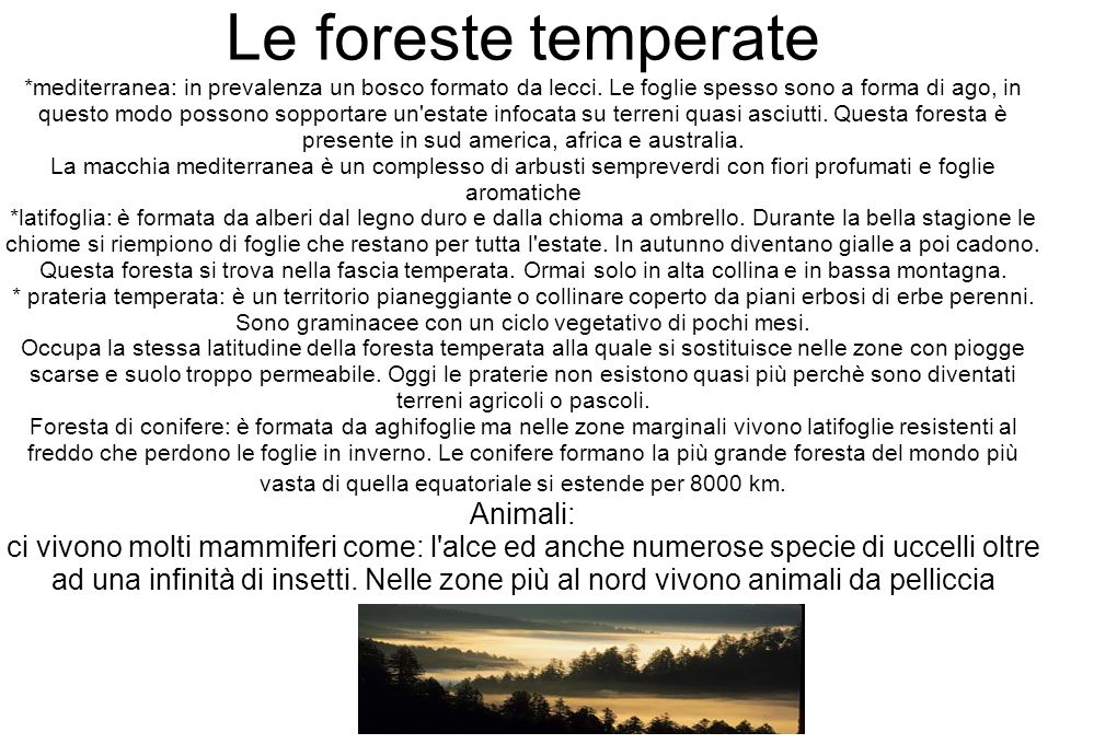Le foreste temperate *mediterranea: in prevalenza un bosco formato da lecci.