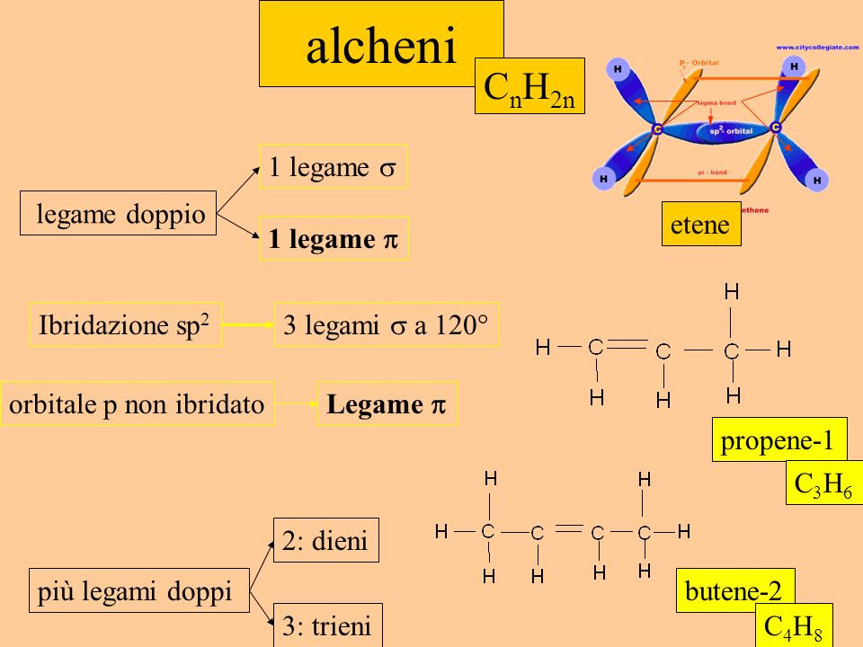alcheni CnH2n 1 legame  legame doppio etene 1 legame 