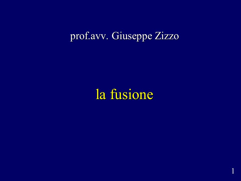 prof.avv. Giuseppe Zizzo