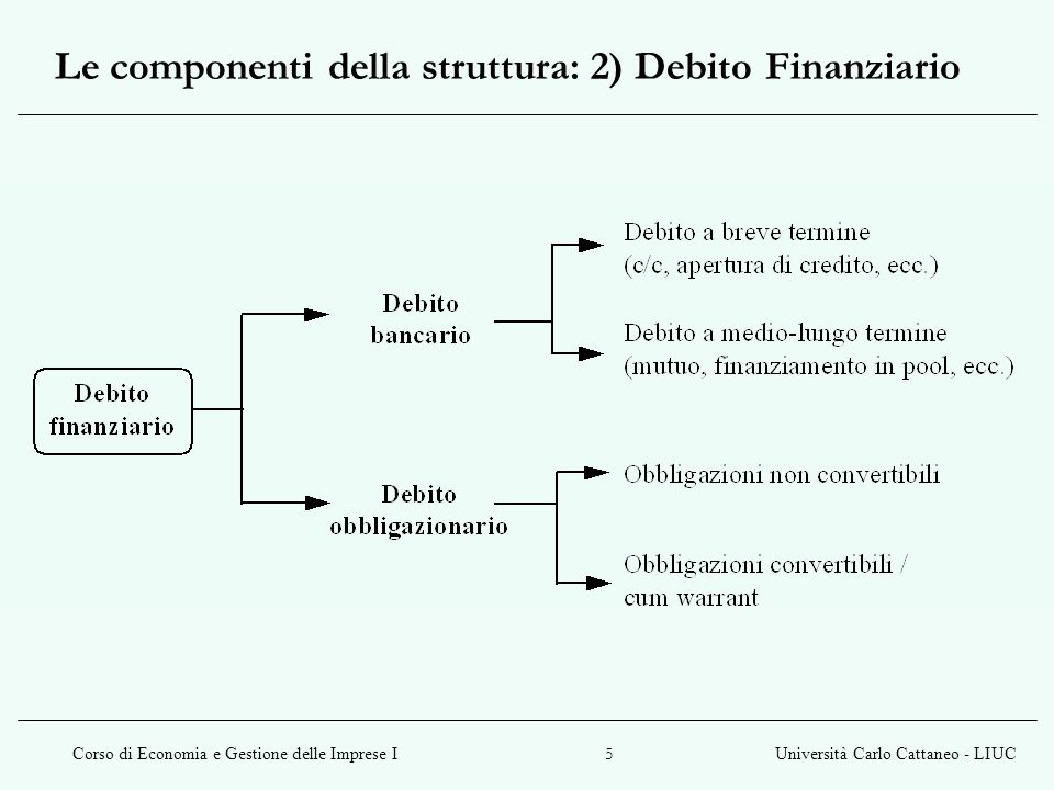 Le componenti della struttura: 2) Debito Finanziario