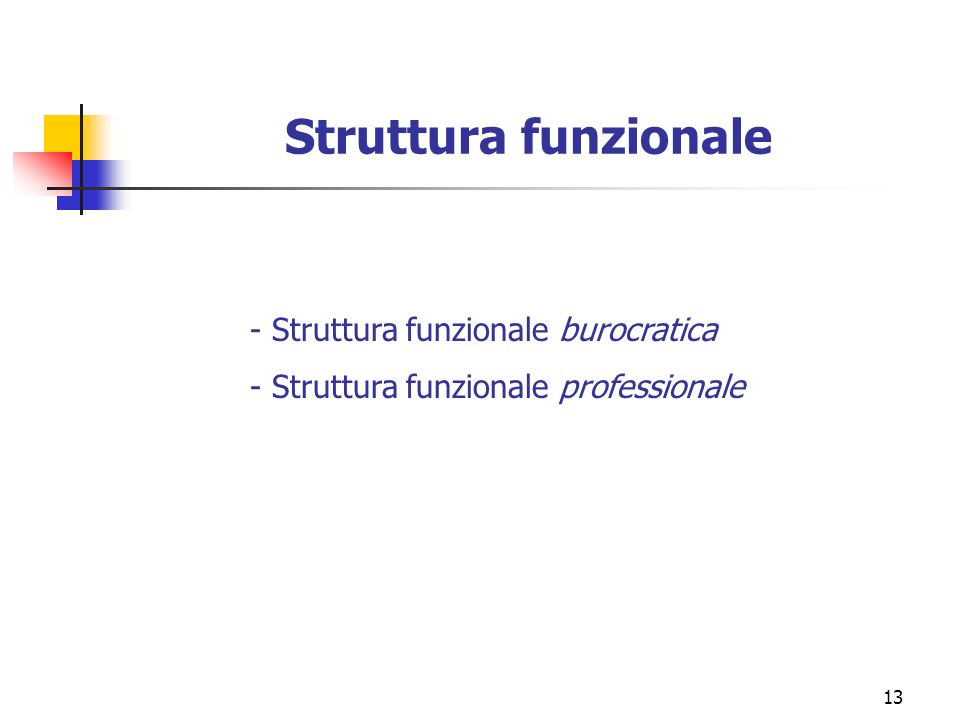 Struttura funzionale - Struttura funzionale burocratica