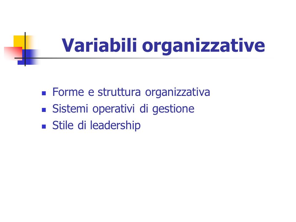 Variabili organizzative