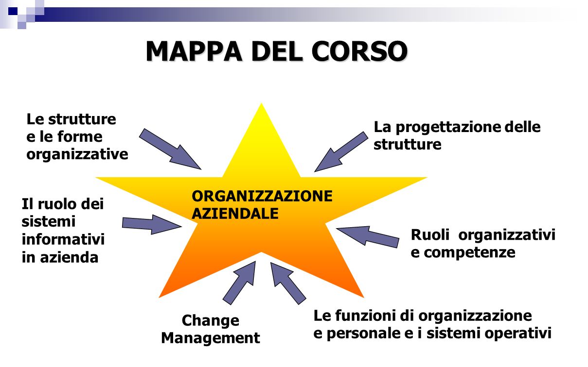 MAPPA DEL CORSO Le strutture e le forme organizzative