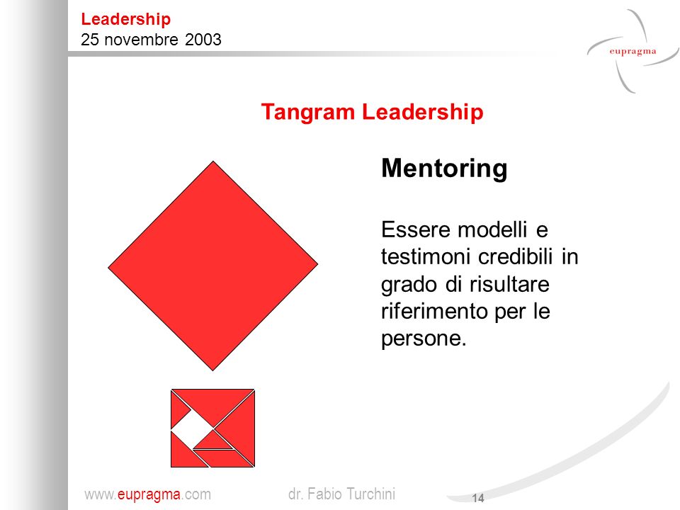 Mentoring Tangram Leadership