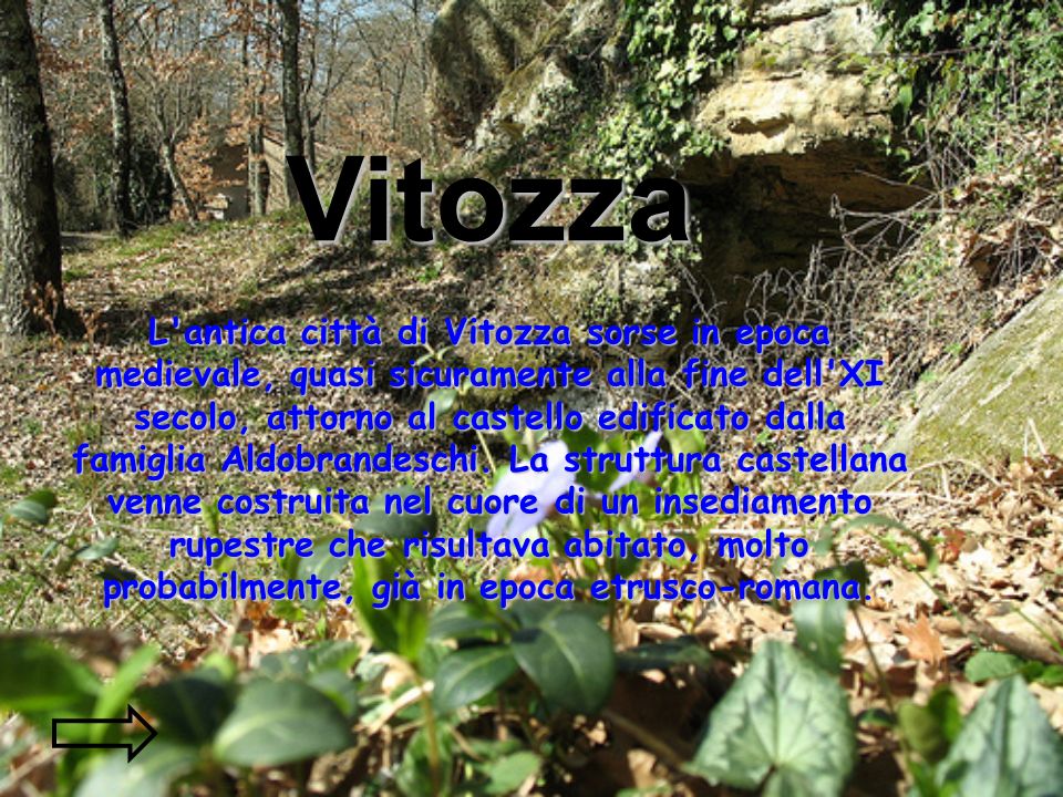 Vitozza