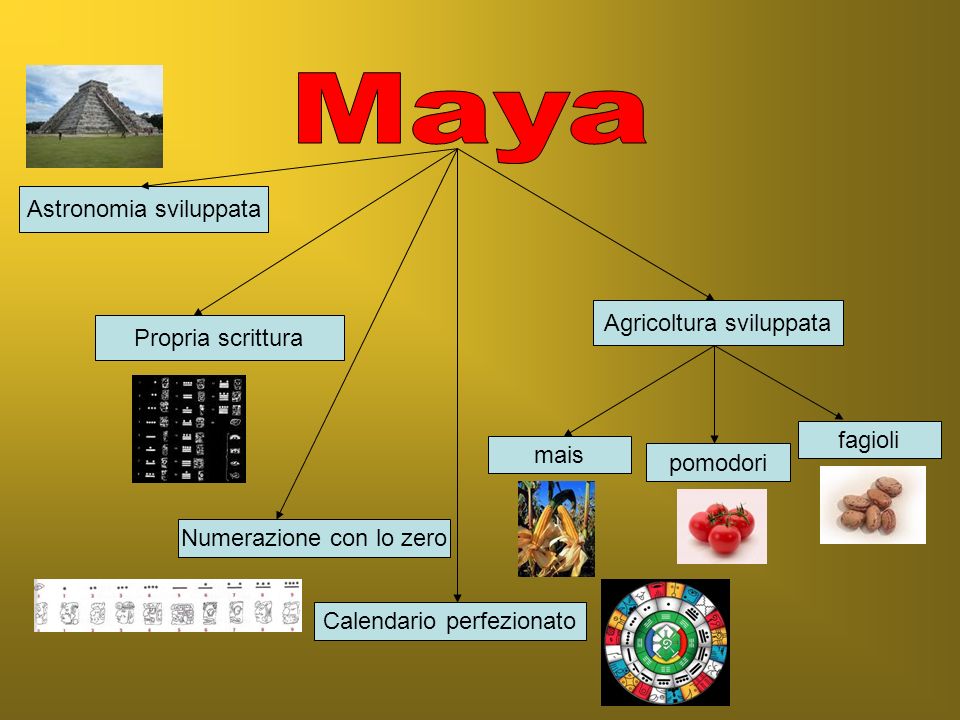 Maya Astronomia sviluppata Agricoltura sviluppata Propria scrittura