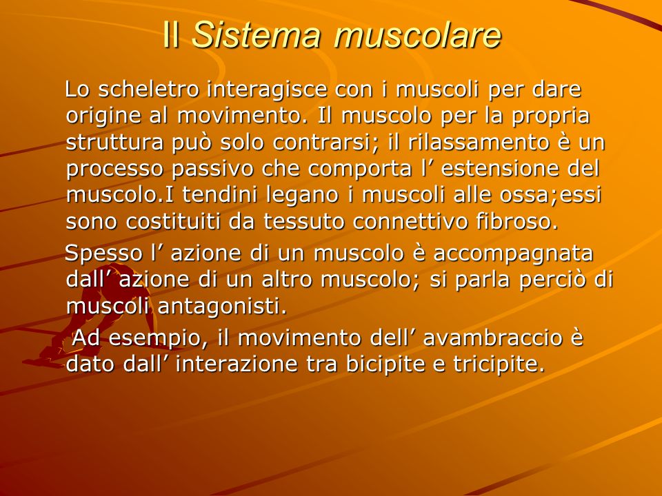 Il Sistema muscolare
