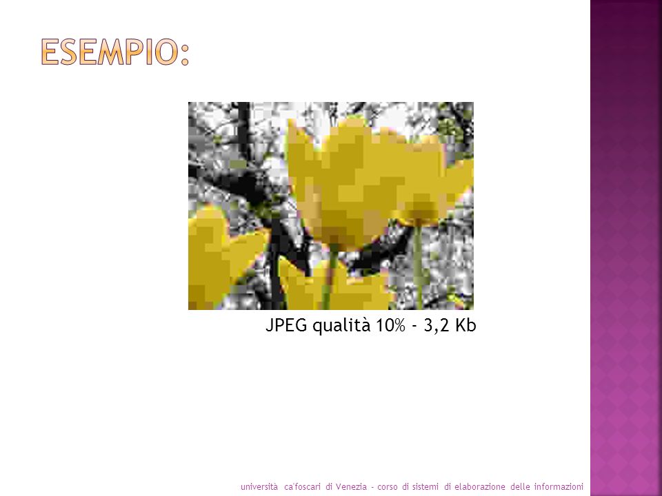 Esempio: JPEG qualità 10% - 3,2 Kb