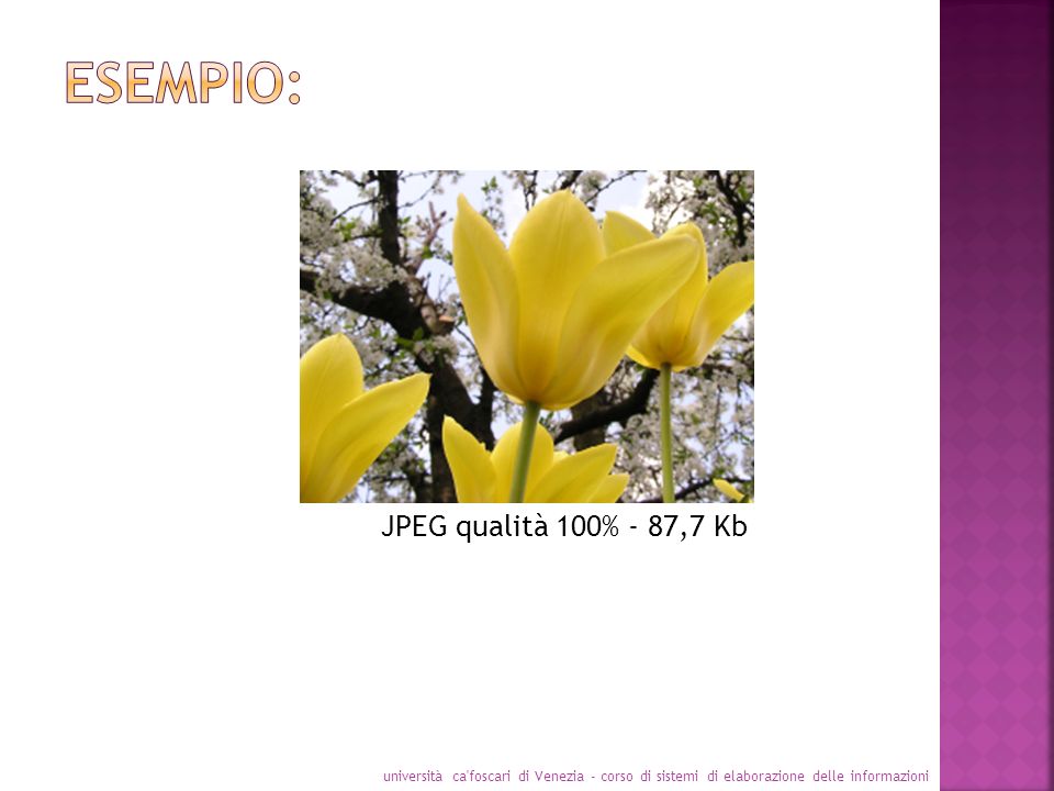 Esempio: JPEG qualità 100% - 87,7 Kb