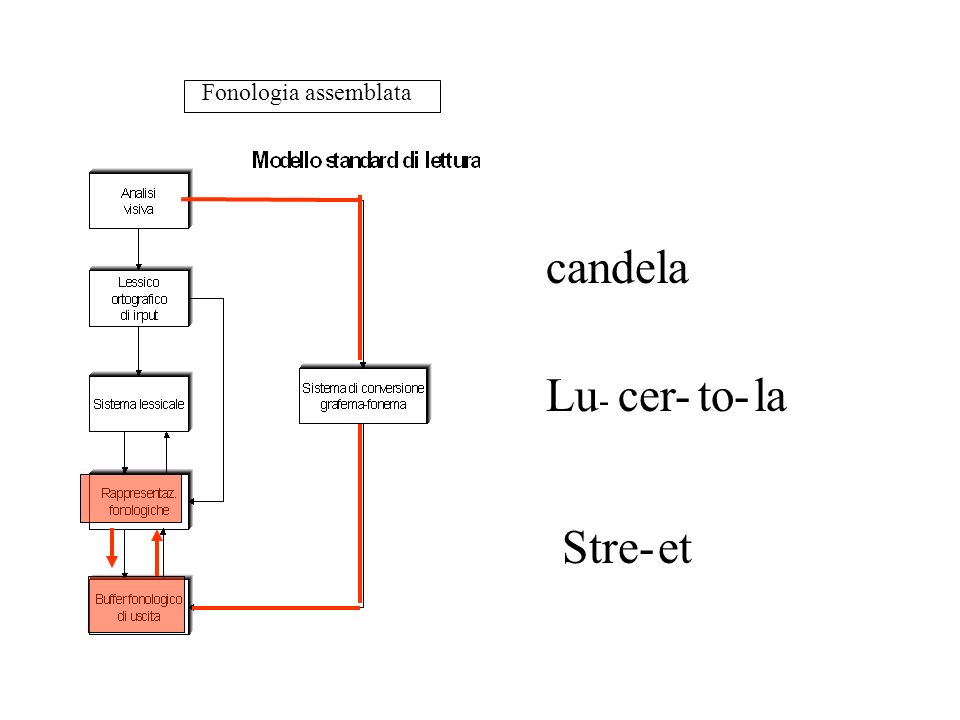 Fonologia assemblata candela Lu- cer- to- la Stre- et