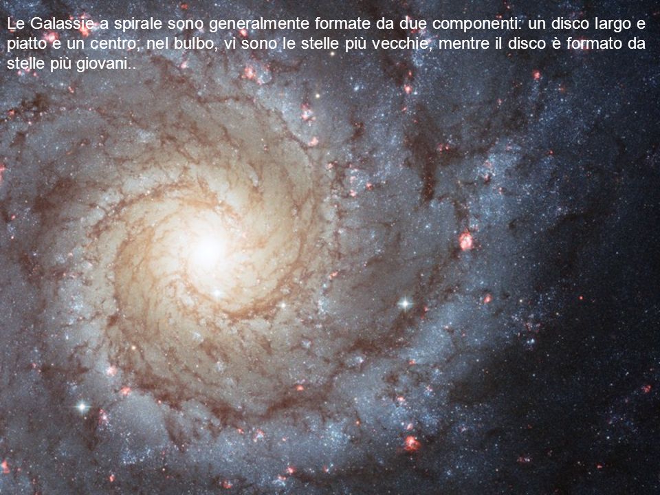 Le Galassie a spirale sono generalmente formate da due componenti: un disco largo e piatto e un centro; nel bulbo, vi sono le stelle più vecchie, mentre il disco è formato da stelle più giovani..