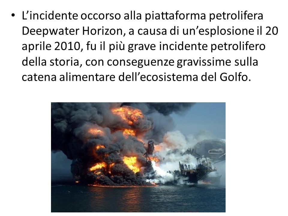 L’incidente occorso alla piattaforma petrolifera Deepwater Horizon, a causa di un’esplosione il 20 aprile 2010, fu il più grave incidente petrolifero della storia, con conseguenze gravissime sulla catena alimentare dell’ecosistema del Golfo.