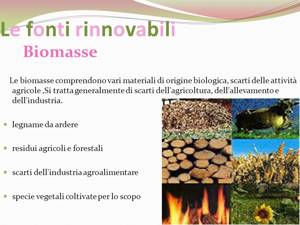 Le fonti rinnovabili Biomasse