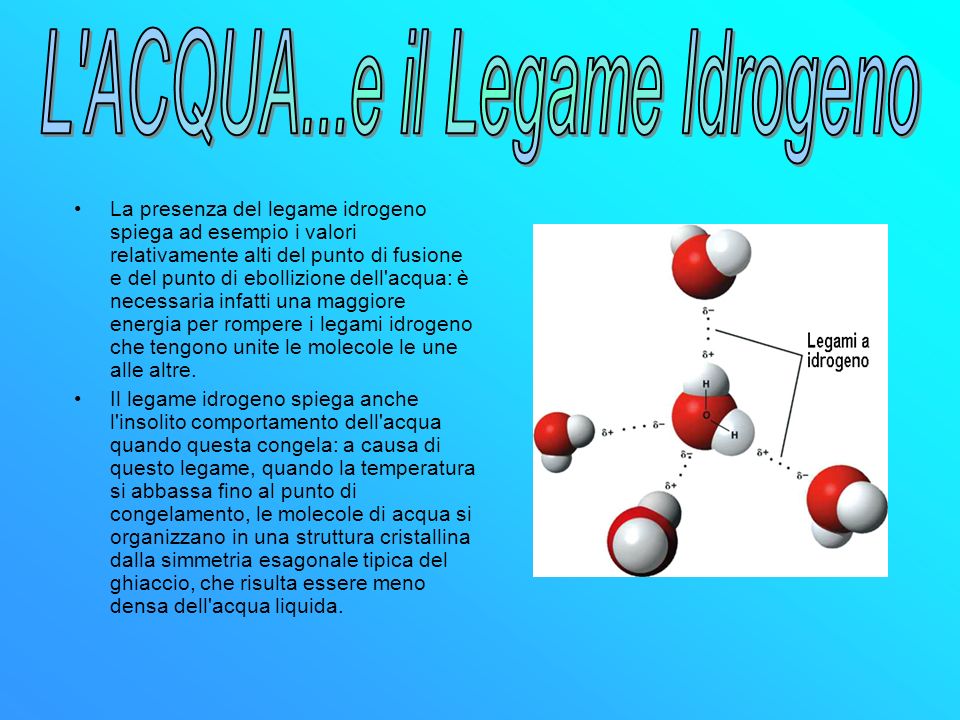 L ACQUA...e il Legame Idrogeno