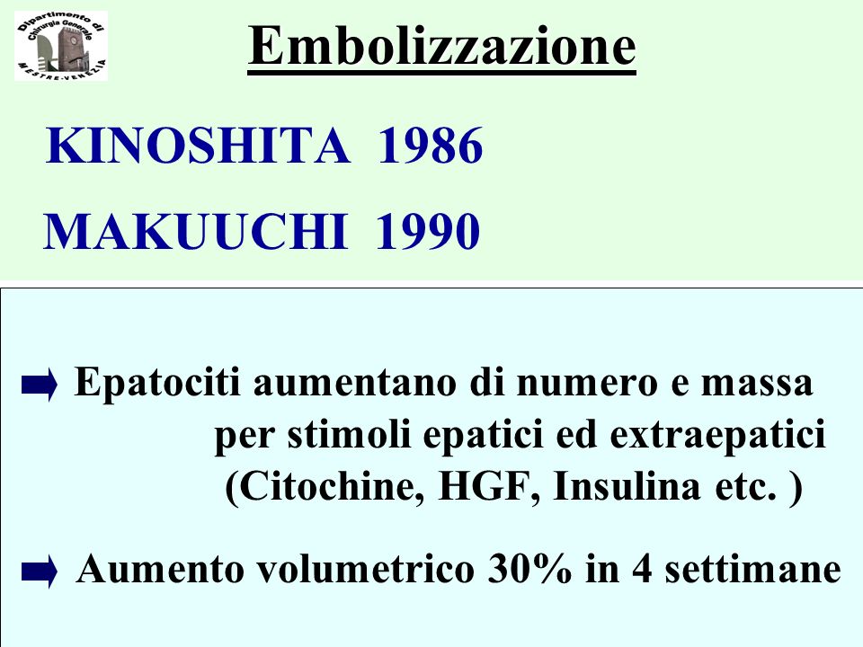 Embolizzazione KINOSHITA 1986 MAKUUCHI 1990