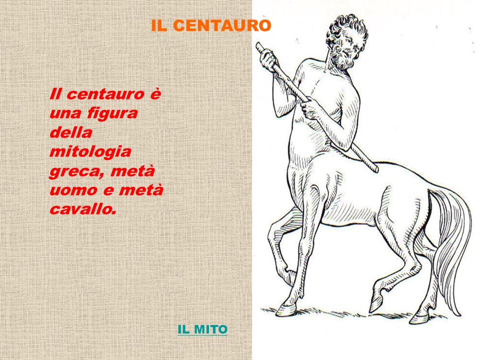 IL CENTAURO Il centauro è una figura della mitologia greca, metà uomo e metà cavallo. IL MITO