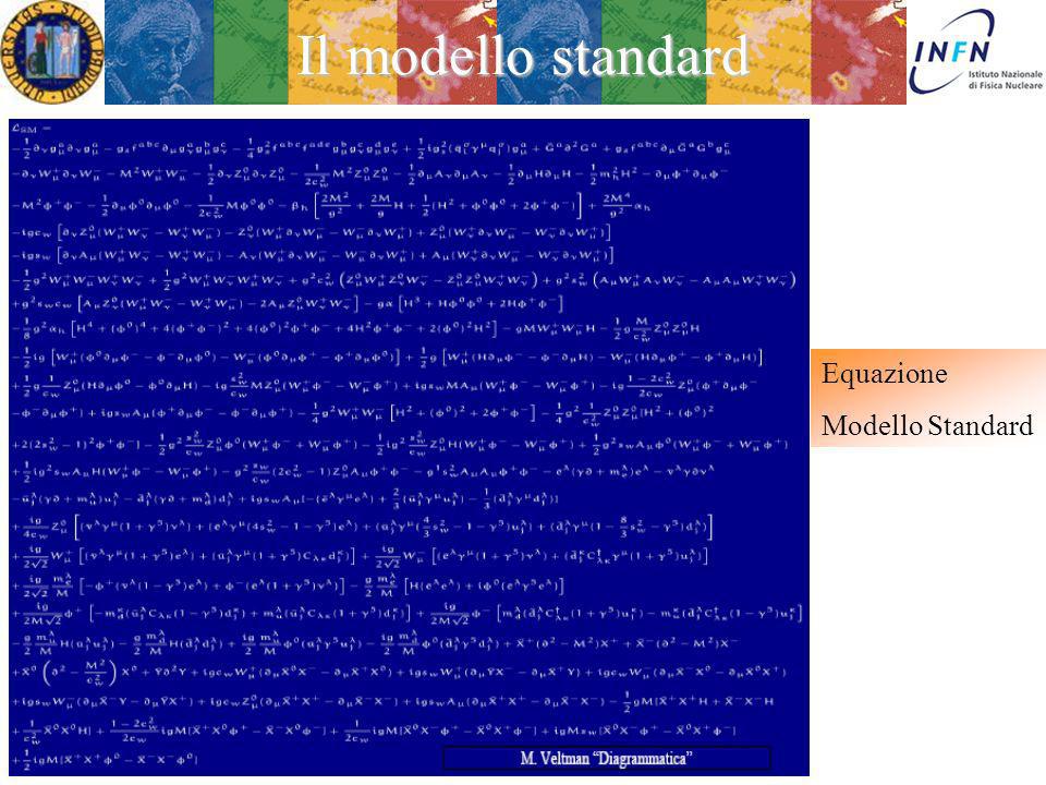 Il modello standard Equazione Modello Standard Treviso 5 Febbraio 2013
