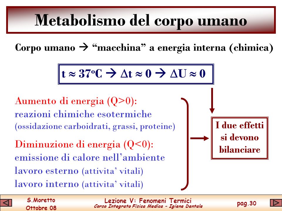 Metabolismo del corpo umano