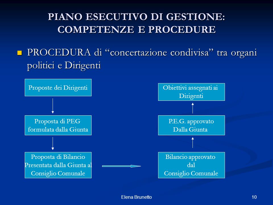 PIANO ESECUTIVO DI GESTIONE: COMPETENZE E PROCEDURE