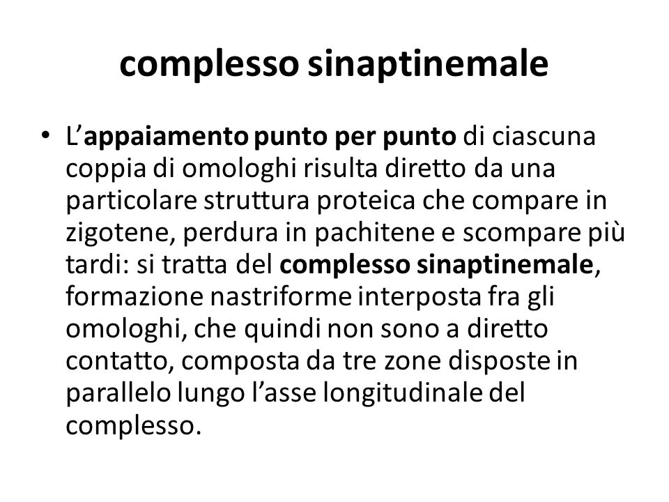 complesso sinaptinemale
