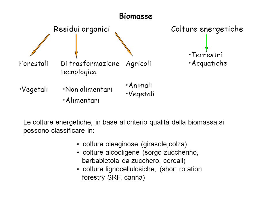 Biomasse Residui organici Colture energetiche Terrestri Acquatiche