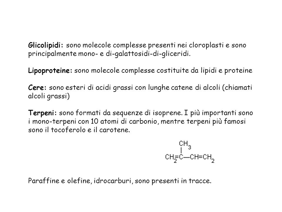 Glicolipidi: sono molecole complesse presenti nei cloroplasti e sono principalmente mono- e di-galattosidi-di-gliceridi.