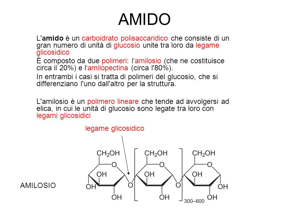 AMIDO L amido è un carboidrato polisaccaridico che consiste di un gran numero di unità di glucosio unite tra loro da legame glicosidico.