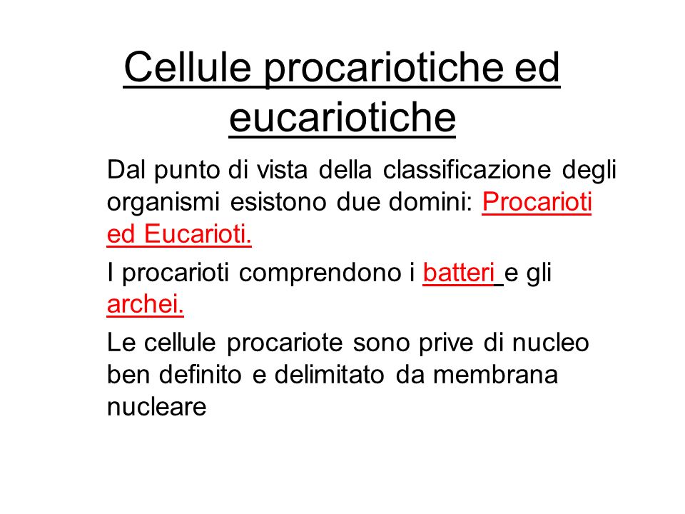 Cellule procariotiche ed eucariotiche