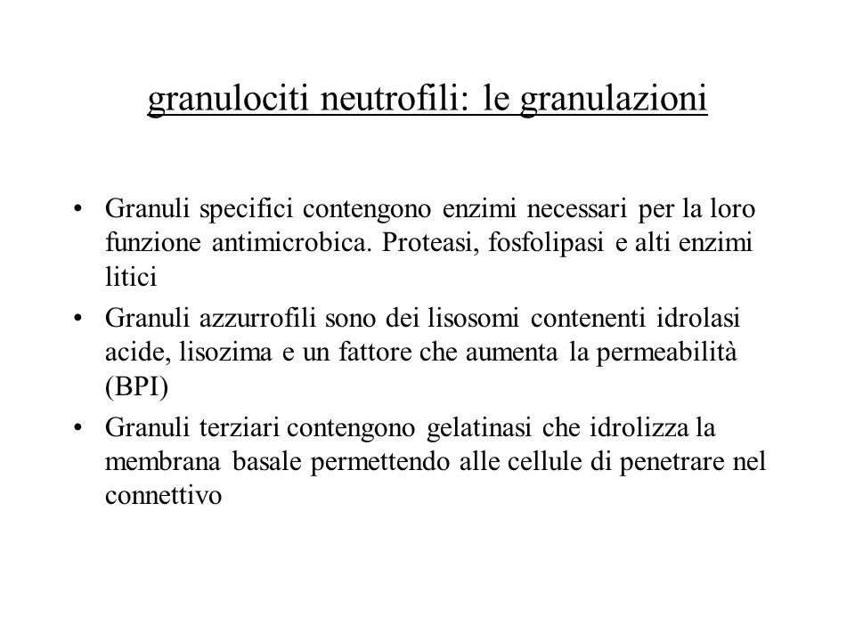 granulociti neutrofili: le granulazioni
