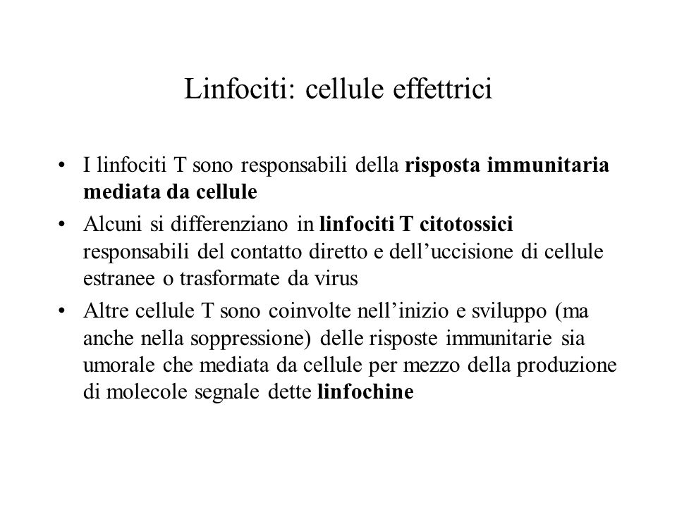 Linfociti: cellule effettrici