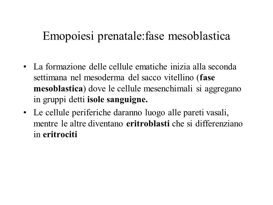 Emopoiesi prenatale:fase mesoblastica